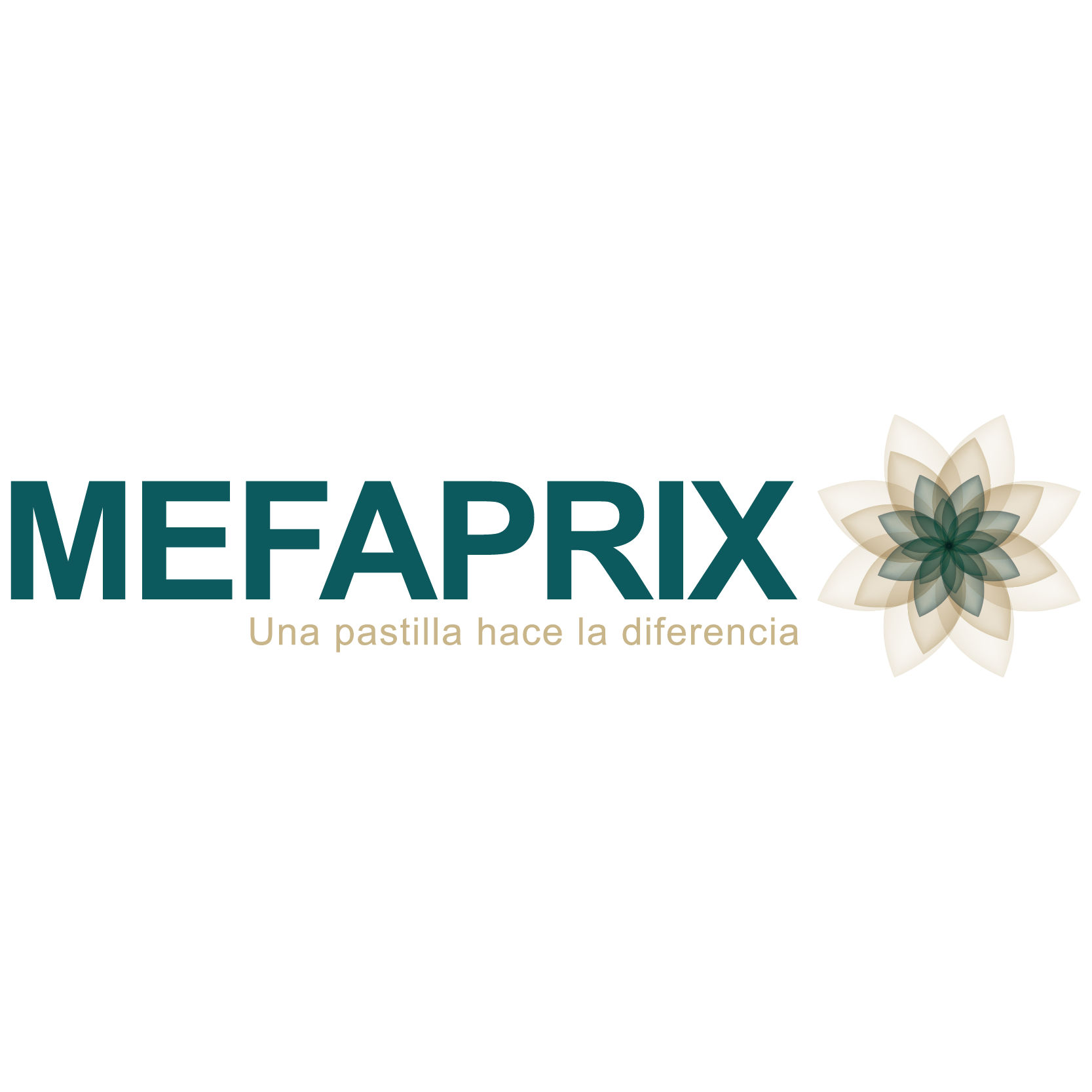 Fundación MSI PEDREGAL